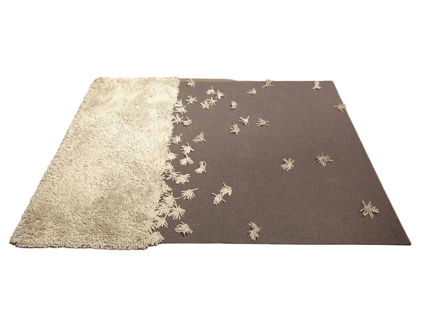 PhotoRoom-20231104_094845